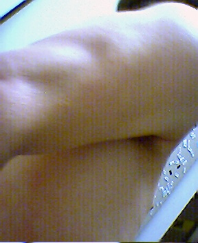 guesswhat.jpg
