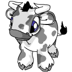 kauliza579.gif